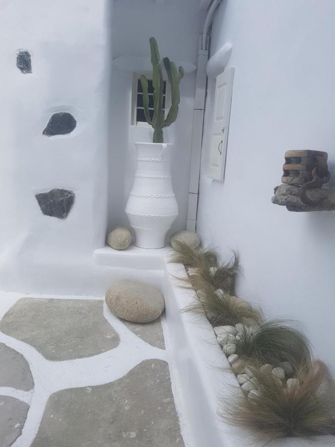 Cassaris Mykonos Villa Drafaki ภายนอก รูปภาพ