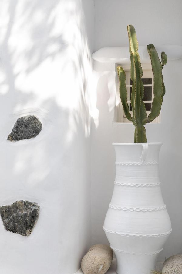 Cassaris Mykonos Villa Drafaki ภายนอก รูปภาพ