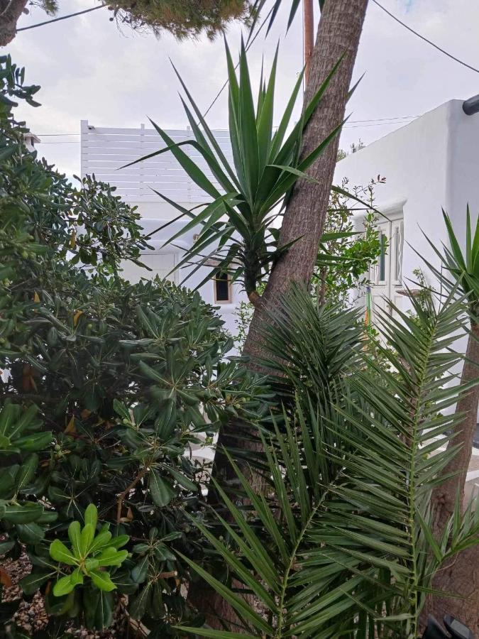 Cassaris Mykonos Villa Drafaki ภายนอก รูปภาพ