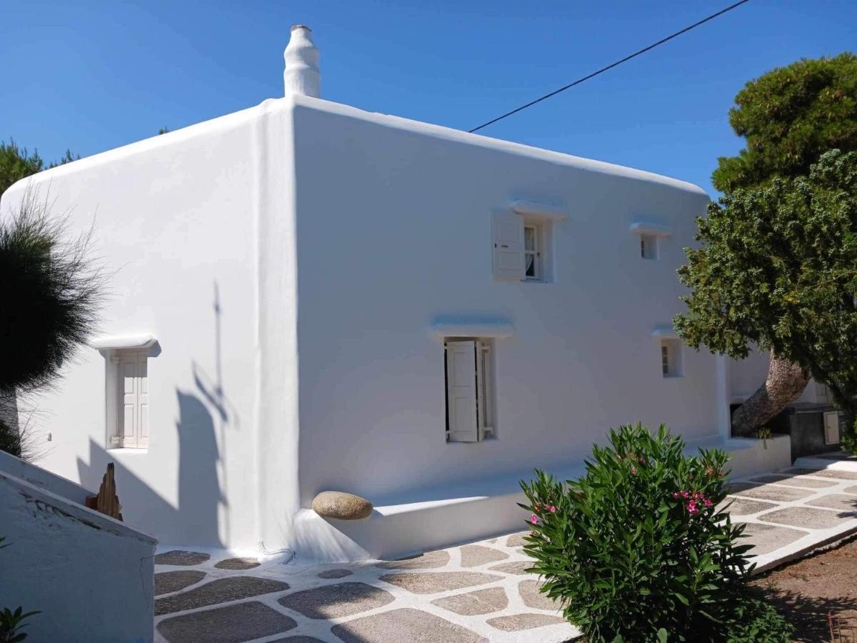 Cassaris Mykonos Villa Drafaki ภายนอก รูปภาพ